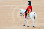 Trooping the Colour 2015. Image #134, 13 June 2015 10:35 Horse Guards Parade, London, UK