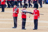 Trooping the Colour 2015. Image #135, 13 June 2015 10:36 Horse Guards Parade, London, UK