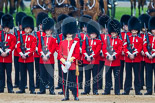 Trooping the Colour 2015. Image #209, 13 June 2015 10:55 Horse Guards Parade, London, UK