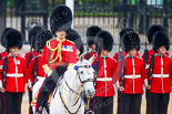 Trooping the Colour 2015. Image #212, 13 June 2015 10:56 Horse Guards Parade, London, UK