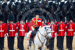 Trooping the Colour 2015. Image #285, 13 June 2015 11:03 Horse Guards Parade, London, UK