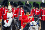 Trooping the Colour 2015. Image #290, 13 June 2015 11:04 Horse Guards Parade, London, UK