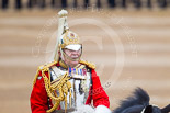 Trooping the Colour 2015. Image #317, 13 June 2015 11:06 Horse Guards Parade, London, UK