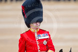 Trooping the Colour 2015. Image #318, 13 June 2015 11:06 Horse Guards Parade, London, UK