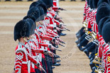 Trooping the Colour 2015. Image #355, 13 June 2015 11:13 Horse Guards Parade, London, UK