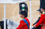 Trooping the Colour 2015. Image #358, 13 June 2015 11:14 Horse Guards Parade, London, UK