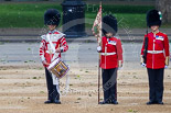 Trooping the Colour 2015. Image #363, 13 June 2015 11:15 Horse Guards Parade, London, UK