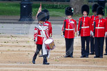 Trooping the Colour 2015. Image #364, 13 June 2015 11:15 Horse Guards Parade, London, UK