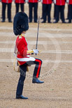 Trooping the Colour 2015. Image #372, 13 June 2015 11:17 Horse Guards Parade, London, UK