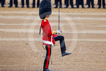 Trooping the Colour 2015. Image #374, 13 June 2015 11:17 Horse Guards Parade, London, UK