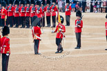 Trooping the Colour 2015. Image #385, 13 June 2015 11:20 Horse Guards Parade, London, UK