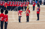 Trooping the Colour 2015. Image #386, 13 June 2015 11:20 Horse Guards Parade, London, UK