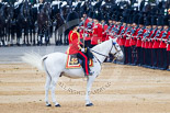 Trooping the Colour 2015. Image #420, 13 June 2015 11:30 Horse Guards Parade, London, UK