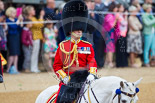 Trooping the Colour 2015. Image #433, 13 June 2015 11:33 Horse Guards Parade, London, UK