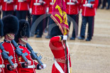 Trooping the Colour 2015. Image #444, 13 June 2015 11:33 Horse Guards Parade, London, UK