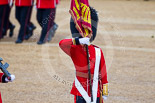 Trooping the Colour 2015. Image #445, 13 June 2015 11:33 Horse Guards Parade, London, UK