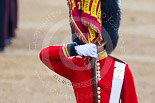Trooping the Colour 2015. Image #446, 13 June 2015 11:33 Horse Guards Parade, London, UK