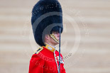 Trooping the Colour 2015. Image #453, 13 June 2015 11:34 Horse Guards Parade, London, UK