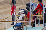 Trooping the Colour 2015. Image #634, 13 June 2015 12:02 Horse Guards Parade, London, UK