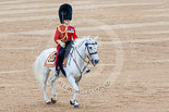 Trooping the Colour 2015. Image #639, 13 June 2015 12:06 Horse Guards Parade, London, UK