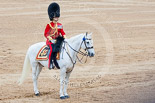 Trooping the Colour 2015. Image #640, 13 June 2015 12:06 Horse Guards Parade, London, UK