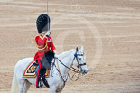 Trooping the Colour 2015. Image #641, 13 June 2015 12:06 Horse Guards Parade, London, UK