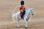 Trooping the Colour 2015. Image #643, 13 June 2015 12:06 Horse Guards Parade, London, UK