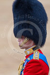Trooping the Colour 2015. Image #661, 13 June 2015 12:09 Horse Guards Parade, London, UK