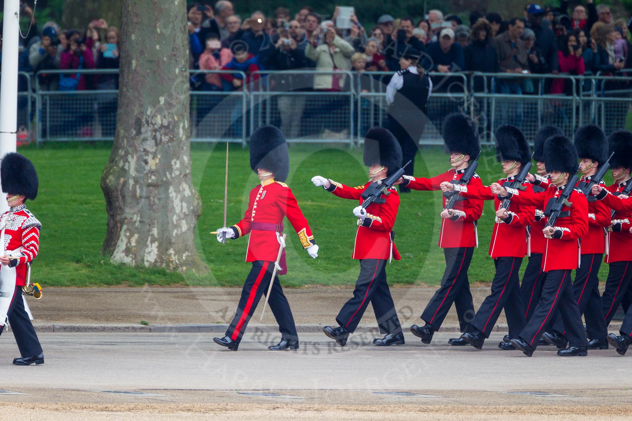 The Colonel's Review 2016.
Horse Guards Parade, Westminster,
London,

United Kingdom,
on 04 June 2016 at 10:28, image #74