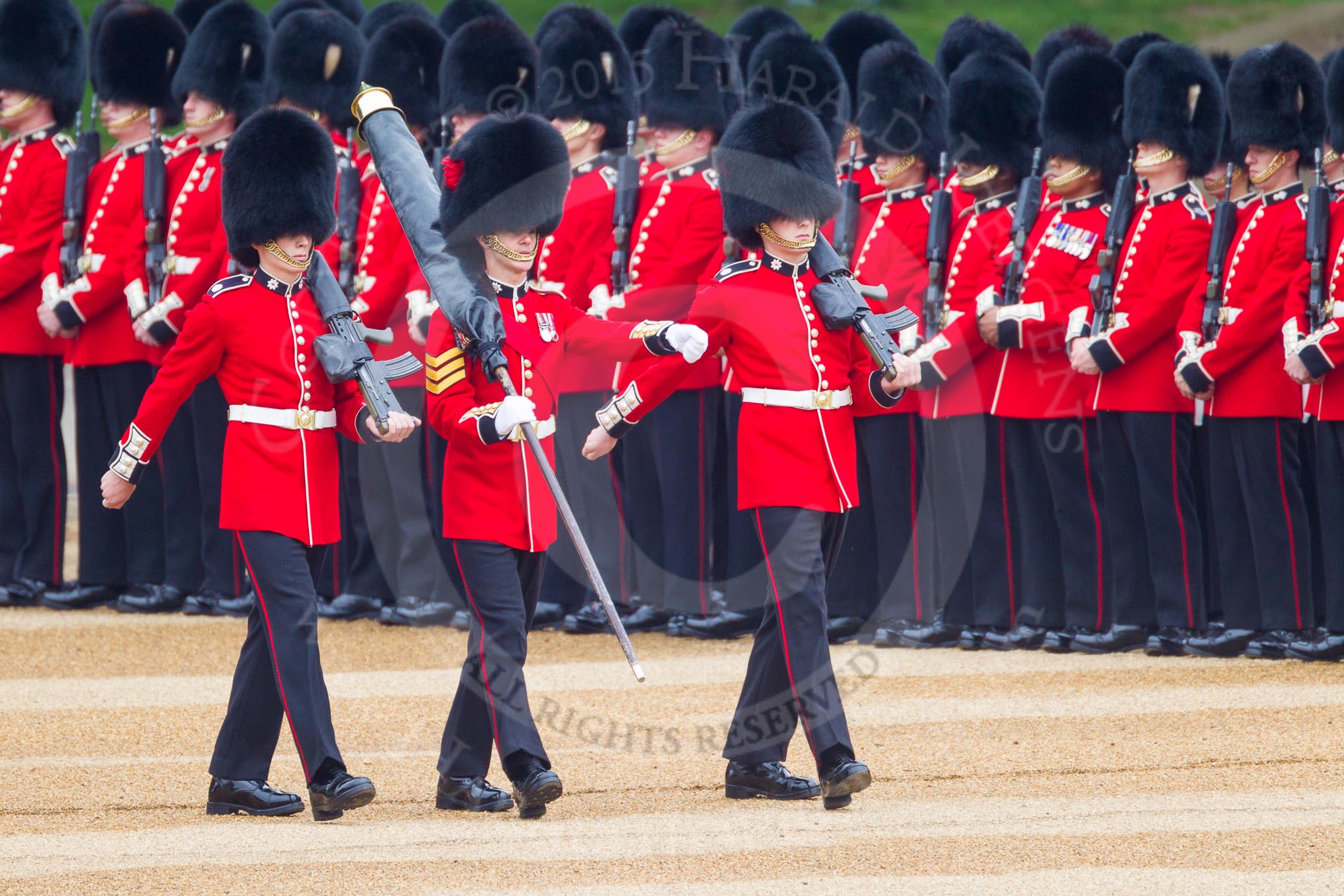 The Colonel's Review 2016.
Horse Guards Parade, Westminster,
London,

United Kingdom,
on 04 June 2016 at 10:32, image #81