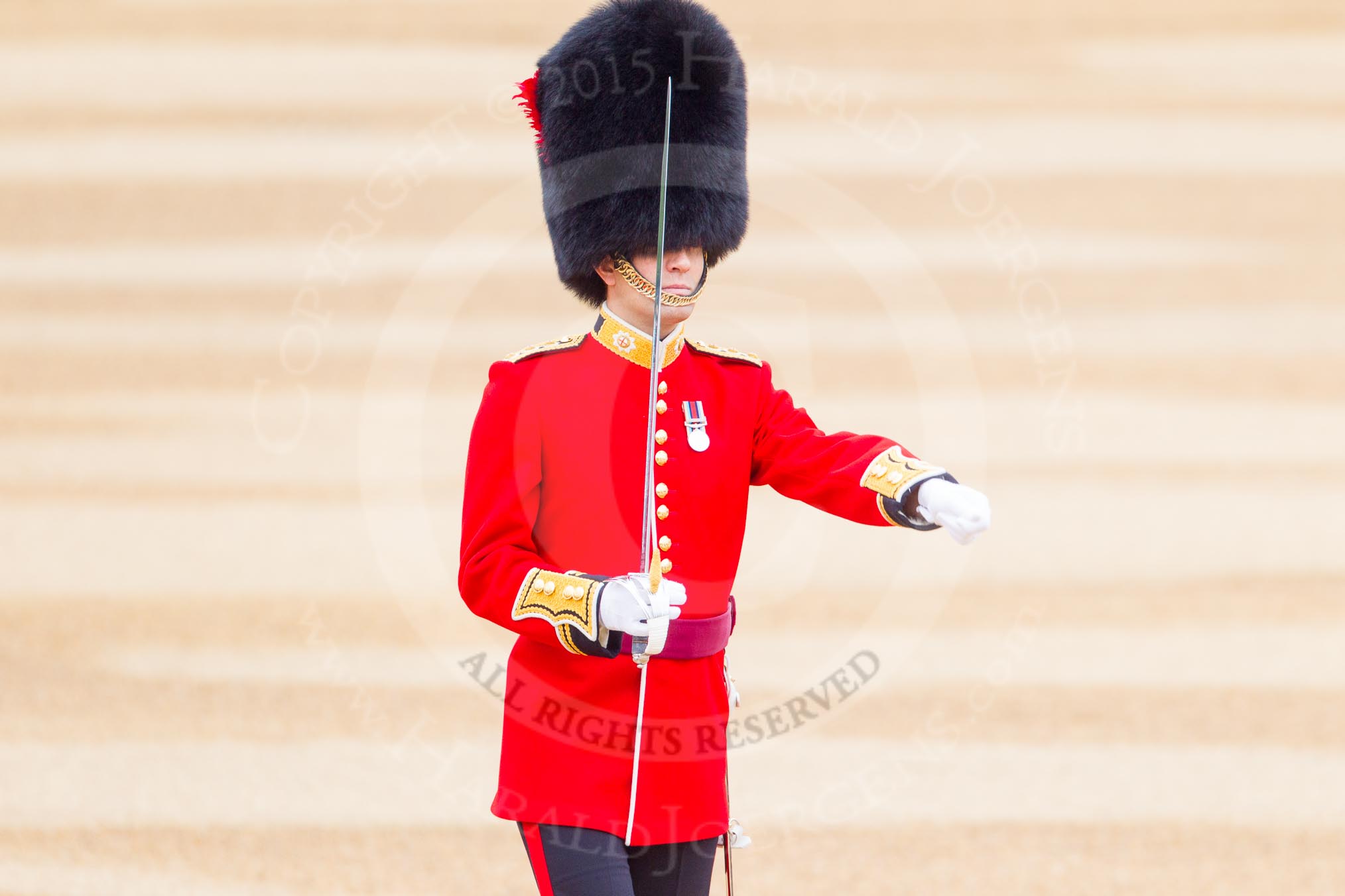 The Colonel's Review 2016.
Horse Guards Parade, Westminster,
London,

United Kingdom,
on 04 June 2016 at 10:34, image #91