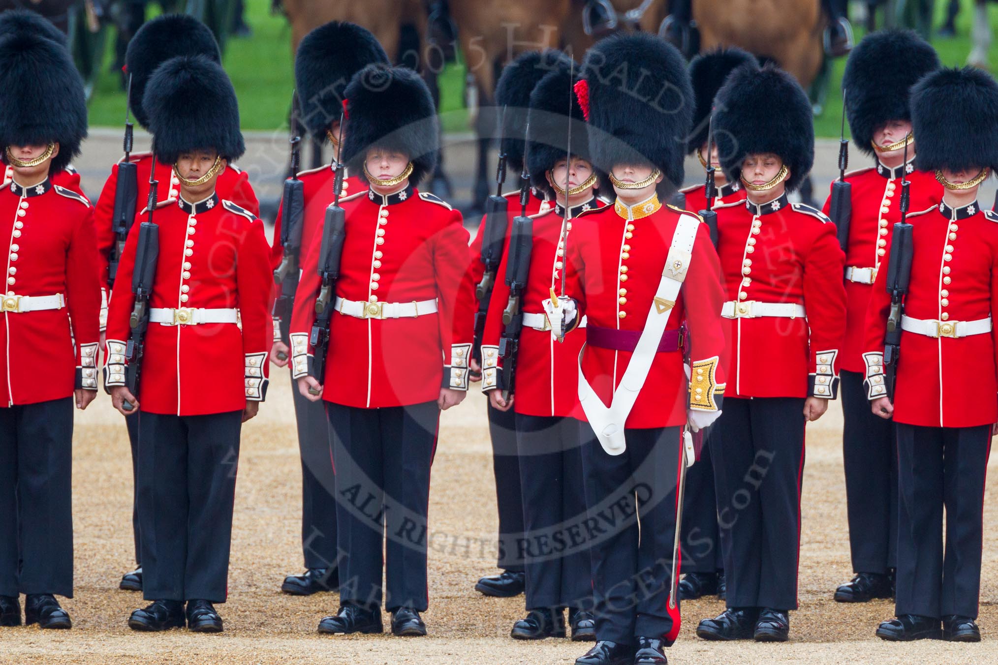 The Colonel's Review 2016.
Horse Guards Parade, Westminster,
London,

United Kingdom,
on 04 June 2016 at 10:43, image #119