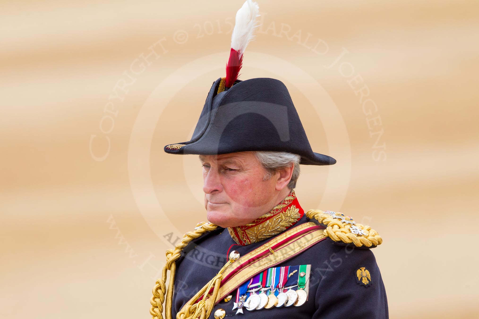 The Colonel's Review 2016.
Horse Guards Parade, Westminster,
London,

United Kingdom,
on 04 June 2016 at 11:01, image #181