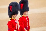 The Colonel's Review 2016.
Horse Guards Parade, Westminster,
London,

United Kingdom,
on 04 June 2016 at 10:00, image #22