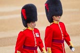 The Colonel's Review 2016.
Horse Guards Parade, Westminster,
London,

United Kingdom,
on 04 June 2016 at 10:05, image #27