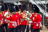 The Colonel's Review 2016.
Horse Guards Parade, Westminster,
London,

United Kingdom,
on 04 June 2016 at 10:16, image #39