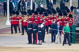 The Colonel's Review 2016.
Horse Guards Parade, Westminster,
London,

United Kingdom,
on 04 June 2016 at 10:16, image #41