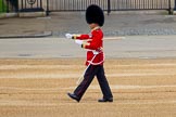 The Colonel's Review 2016.
Horse Guards Parade, Westminster,
London,

United Kingdom,
on 04 June 2016 at 10:21, image #52