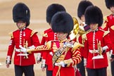 The Colonel's Review 2016.
Horse Guards Parade, Westminster,
London,

United Kingdom,
on 04 June 2016 at 10:26, image #66