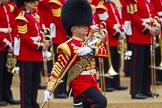 The Colonel's Review 2016.
Horse Guards Parade, Westminster,
London,

United Kingdom,
on 04 June 2016 at 10:27, image #68