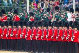The Colonel's Review 2016.
Horse Guards Parade, Westminster,
London,

United Kingdom,
on 04 June 2016 at 10:28, image #70
