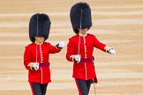 The Colonel's Review 2016.
Horse Guards Parade, Westminster,
London,

United Kingdom,
on 04 June 2016 at 10:29, image #75