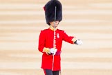 The Colonel's Review 2016.
Horse Guards Parade, Westminster,
London,

United Kingdom,
on 04 June 2016 at 10:34, image #91
