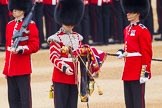 The Colonel's Review 2016.
Horse Guards Parade, Westminster,
London,

United Kingdom,
on 04 June 2016 at 10:34, image #92