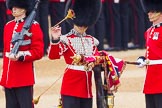 The Colonel's Review 2016.
Horse Guards Parade, Westminster,
London,

United Kingdom,
on 04 June 2016 at 10:34, image #93