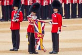 The Colonel's Review 2016.
Horse Guards Parade, Westminster,
London,

United Kingdom,
on 04 June 2016 at 10:35, image #94