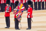 The Colonel's Review 2016.
Horse Guards Parade, Westminster,
London,

United Kingdom,
on 04 June 2016 at 10:35, image #96