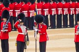 The Colonel's Review 2016.
Horse Guards Parade, Westminster,
London,

United Kingdom,
on 04 June 2016 at 10:35, image #97