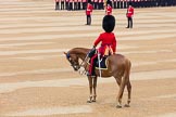 The Colonel's Review 2016.
Horse Guards Parade, Westminster,
London,

United Kingdom,
on 04 June 2016 at 10:36, image #100
