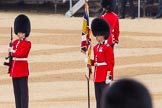 The Colonel's Review 2016.
Horse Guards Parade, Westminster,
London,

United Kingdom,
on 04 June 2016 at 10:39, image #112